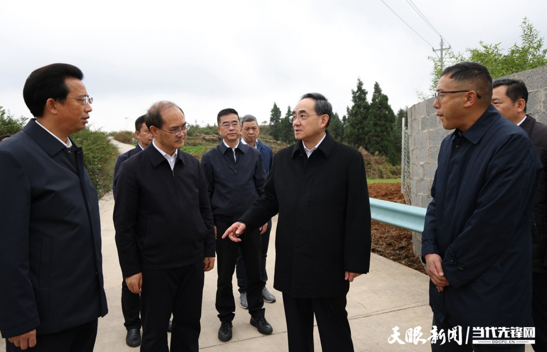 圖為徐麟在盤州市兩河街道花家莊村，了解當(dāng)?shù)乩暹\(yùn)處置情況。.jpg